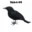 Simulation Black Crow Halloween Black Crow Props Simulation Fake Bird Ghost Festival Halloween Decoration Scary Toys 8