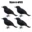 Simulation Black Crow Halloween Black Crow Props Simulation Fake Bird Ghost Festival Halloween Decoration Scary Toys 10