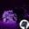 Purple Solar String Fairy Lights Waterproof Lights 3
