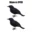 Simulation Black Crow Halloween Black Crow Props Simulation Fake Bird Ghost Festival Halloween Decoration Scary Toys 7