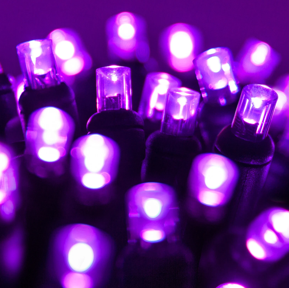 Purple Halloween String Lights – 70 Purple LED's 24FT On Black Wire